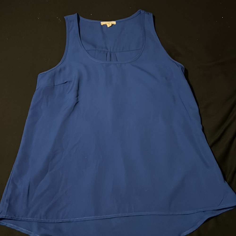 Blue Blouse